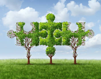 Organisation commerciale PME et ETI